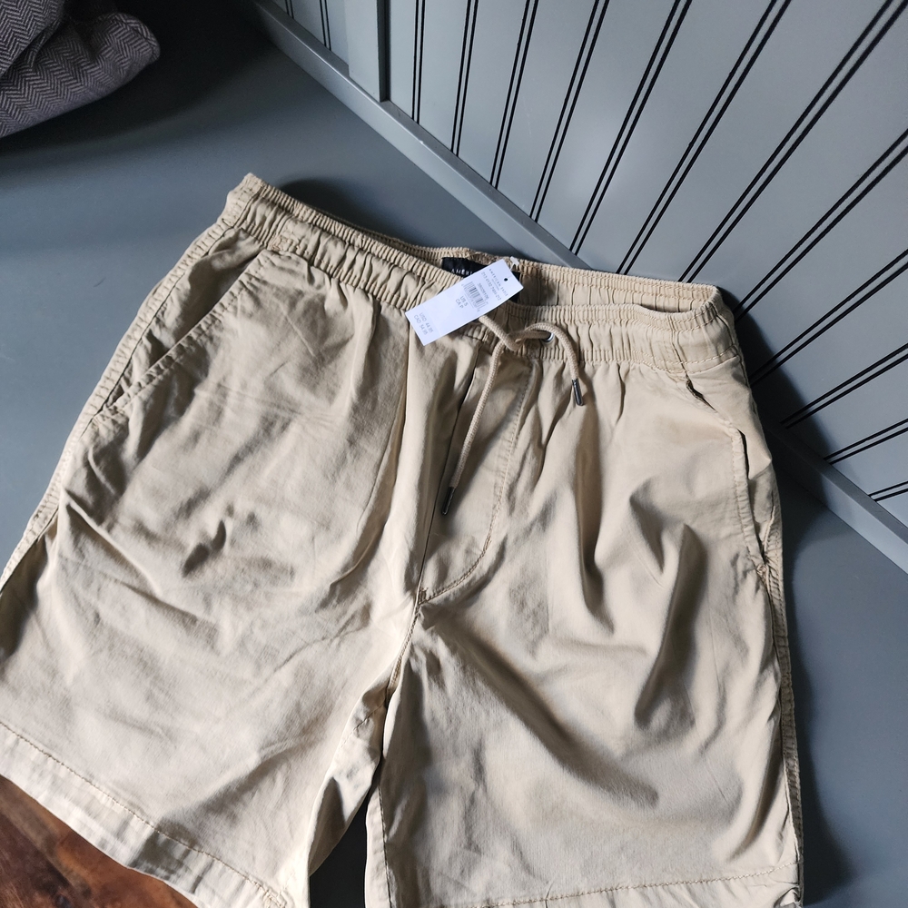 American Eagle Outfitters Men's Beige Shorts